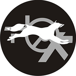 Capa para Estepe Carrhel Raposa Branca com Cadeado - Crossfox / Ecosport / Doblo/Aircross é bom? Vale a pena?