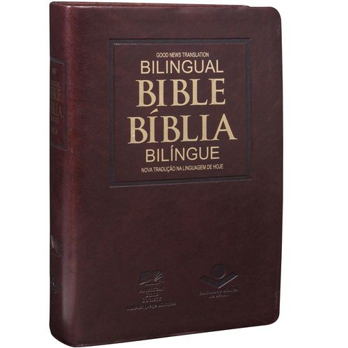 Bíblia Bilíngue Português Inglês - Capa Luxo - Ntlh é bom? Vale a pena?