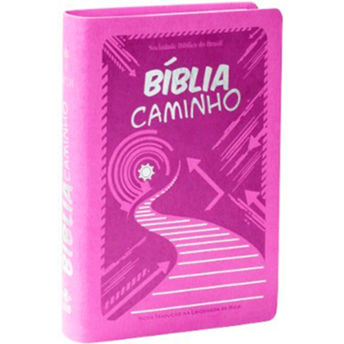 Bíblia Caminho - Jaime Kemp - Luxo Rosa é bom? Vale a pena?