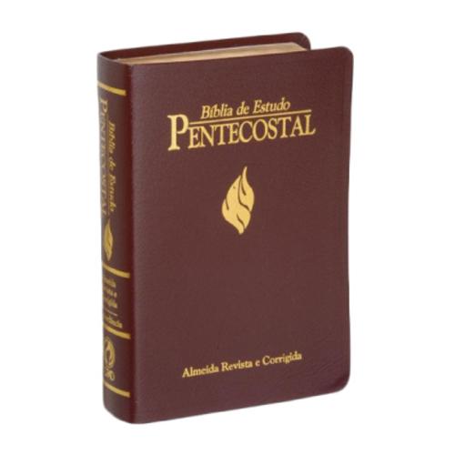 Bíblia De Estudo Pentecostal Grande Luxo Beira Dourada é bom? Vale a pena?