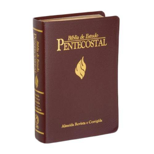 Bíblia de Estudo Pentecostal Grande - Luxo Vinho é bom? Vale a pena?