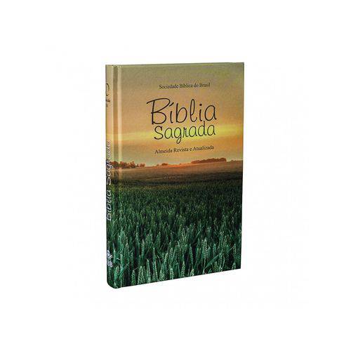 Bíblia Sagrada Almeida Revista e Atualizada é bom? Vale a pena?