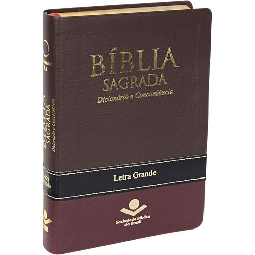 Bíblia Sagrada Dicionário e Concordância Letra Grande é bom? Vale a pena?