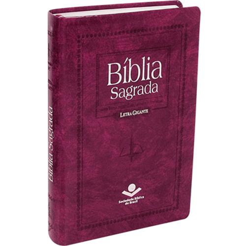 Bíblia Sagrada Emborrachada Rc - Letra Gigante com Índice - Purpura Nobre é bom? Vale a pena?
