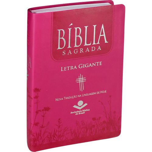 Biblia Sagrada Letra Gigante Ntlh Rosa Pink com Indice Lateral é bom? Vale a pena?