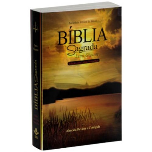 Biblia Sagrada Rc Letra Grande - Arc06lg - Capa Lago - Sbb é bom? Vale a pena?