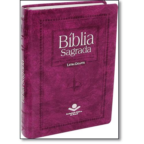 Bíblia Sagrada - Revista e Corrigida com Letra Gigante é bom? Vale a pena?
