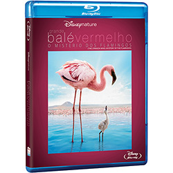 Blu-ray Grande Balé Vermelho: o Mistério dos Flamingos é bom? Vale a pena?