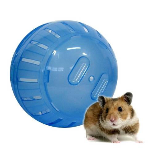 Bola de Exercícios Globo para Hamster Ginástica Bicho Estimação - Cor Sortida Ws8 Pet-176 é bom? Vale a pena?