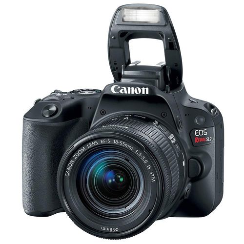 Câmera Canon Digital Profissional Rebel Sl2 18-55 , 24,2 MP - Preto é bom? Vale a pena?