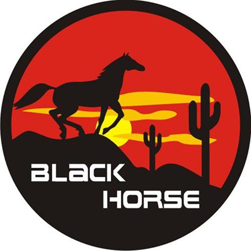 Capa para estepe Carrhel Cavalo Negro com cadeado - Crossfox / Ecosport / Doblo/Aircross é bom? Vale a pena?