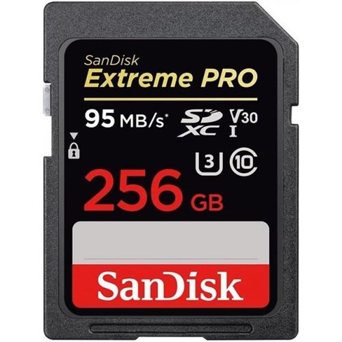 Cartão de Memória Sandisk 256GB 95MB