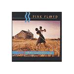 CD Pink Floyd - A Collection of Great Dance Songs é bom? Vale a pena?