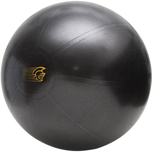 Fit Ball Training Pretorian Performance 55 - FBT55 PP é bom? Vale a pena?