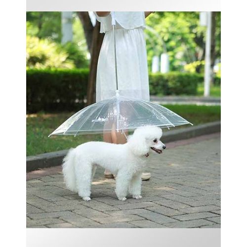Guarda Chuva Sombrinha para Cachorro Pet Umbrella é bom? Vale a pena?
