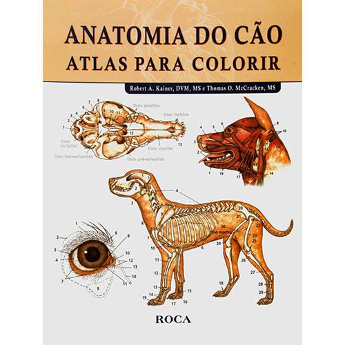 Livro - Anatomia do Cão: Atlas para Colorir é bom? Vale a pena?
