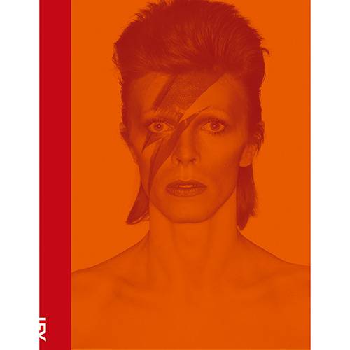 Livro - David Bowie é bom? Vale a pena?