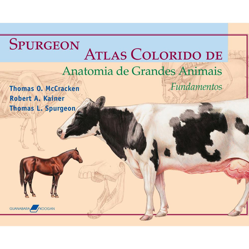 Livro - Spurgeon / Atlas Colorido De Anatomia é bom? Vale a pena?