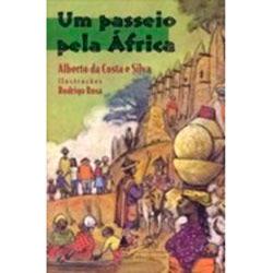 Livro - Um Passeio Pela África é bom? Vale a pena?