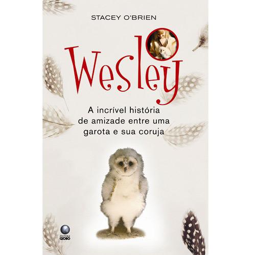 Livro - Wesley - A Incrível História de Amizade Entre Uma Garota e Sua Coruja é bom? Vale a pena?