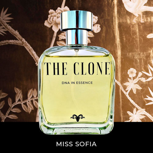 Perfume The Clone Miss Sofia 100ml Edp Chipre Floral é bom? Vale a pena?