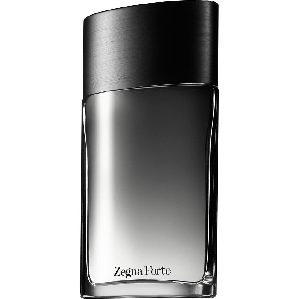 Perfume Zegna Forte Eau de Toilette Ermenegildo Zegna 50ml Masculino é bom? Vale a pena?