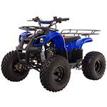 Quadriciclo ATV BK-503HW 110CC Azul - Bull Motors é bom? Vale a pena?