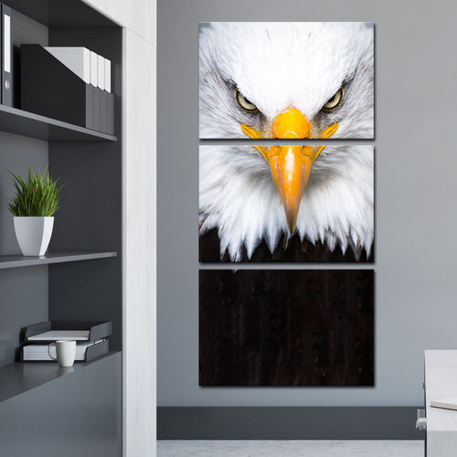 Quadro 120x60cm Olhar de Águia Pássaro Decorativo Interiores - Oppen House é bom? Vale a pena?