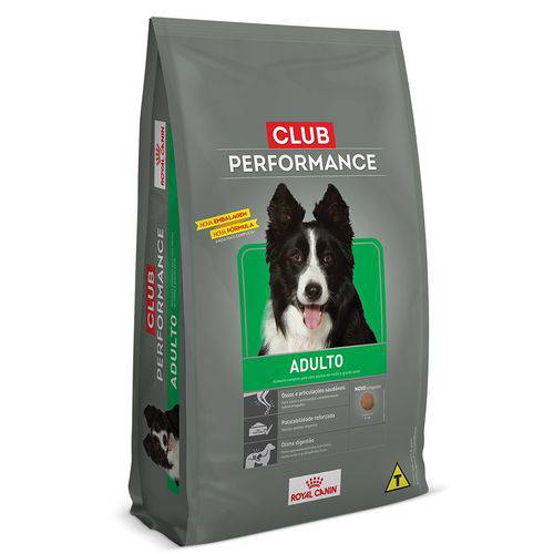 Ração Royal Canin Club Performance Cães Adultos - 2,5kg é bom? Vale a pena?