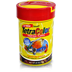Ração Tetra Color Tropical Flakes Procare 12g - Tetra é bom? Vale a pena?