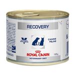 Royal Canin Canine/Feline Recovery é bom? Vale a pena?