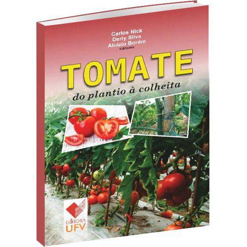 Tomate do Plantio à Colheita é bom? Vale a pena?