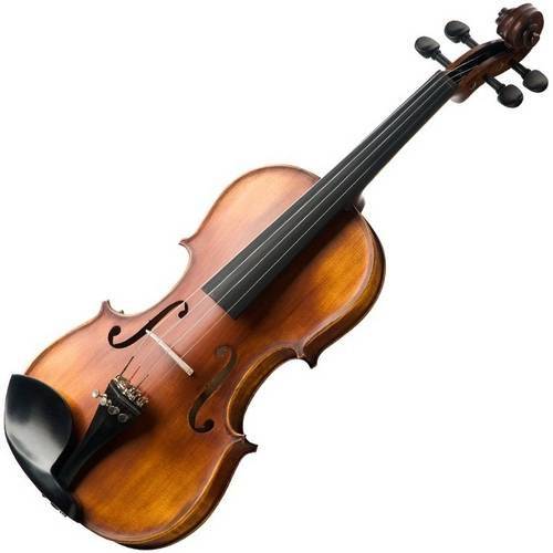 Violino 4/4 Tradicional Michael Vnm49 C/ Estojo Profissional é bom? Vale a pena?