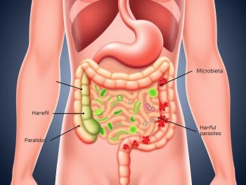 Kit Restart Intestinal: Desparasitação Natural Para Equilíbrio