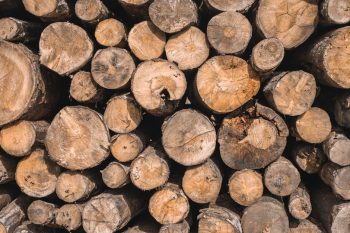 Senai Curso de Marcenaria: Transforme sua Criatividade em Móveis