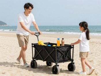 Melhor Carrinho de Praia para comprar em 2026 | Top 5 Modelos
