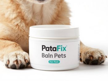 PataFix é Bom? Vale a Pena? Análise Completa do Balm para Pets